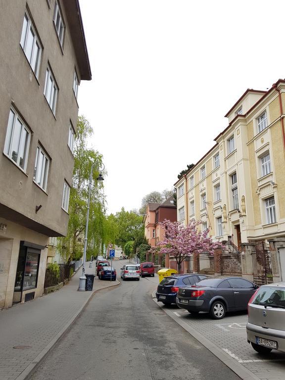 Old Town Apartment Pellicova Brno Buitenkant foto
