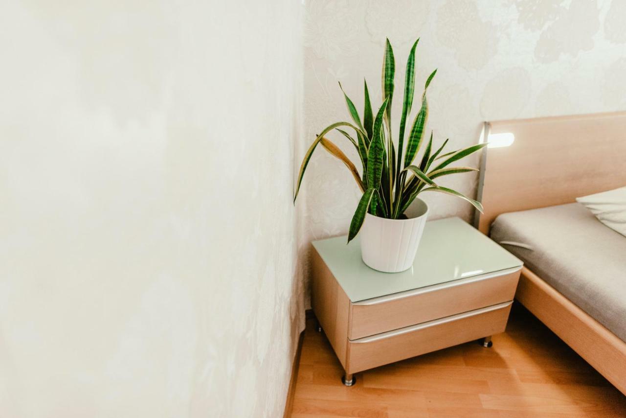 Old Town Apartment Pellicova Brno Buitenkant foto